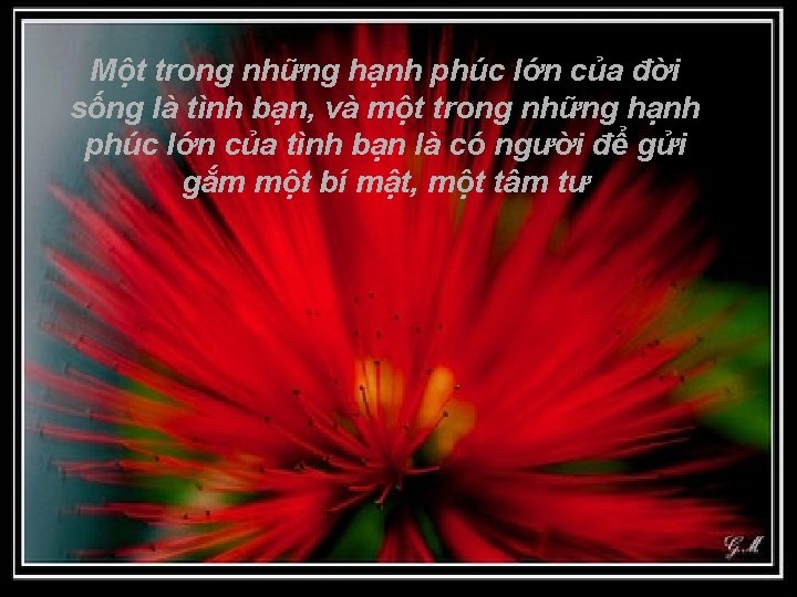 Một trong những hạnh phúc lớn của đời sống là tình bạn, và một