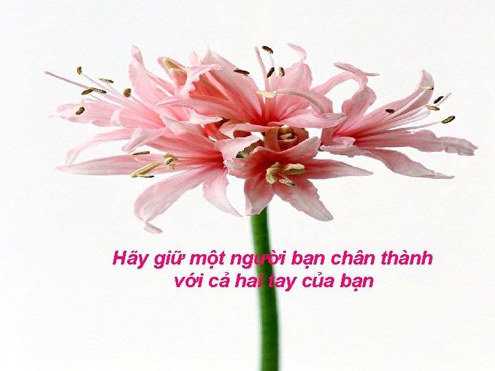 Hãy giữ một người bạn chân thành với cả hai tay của bạn 