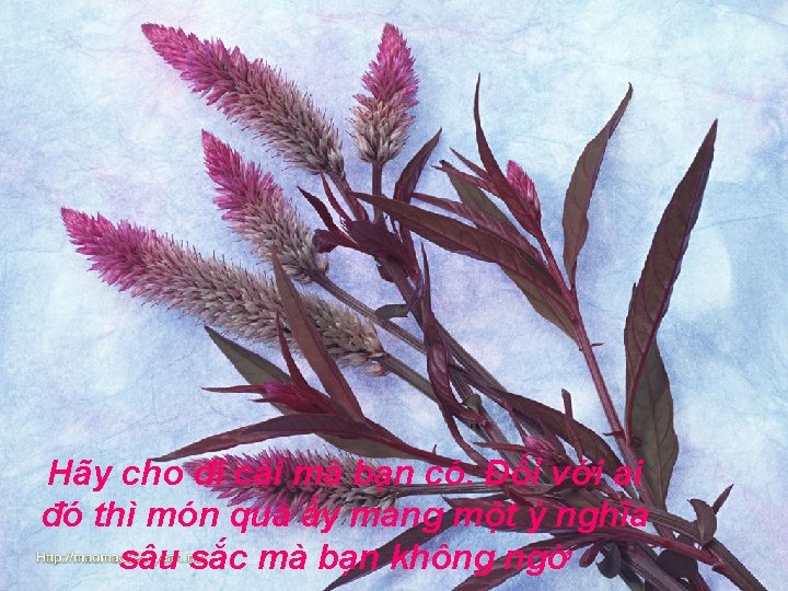 Hãy cho đi cái mà bạn có. Đối với ai đó thì món quà