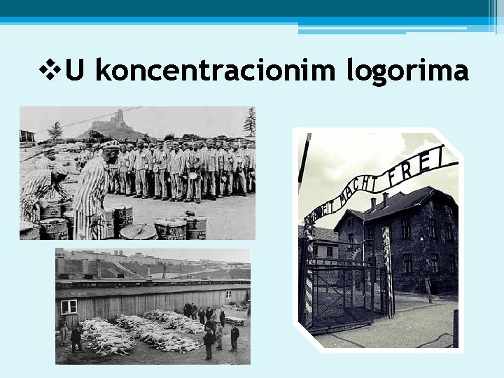 v. U koncentracionim logorima 