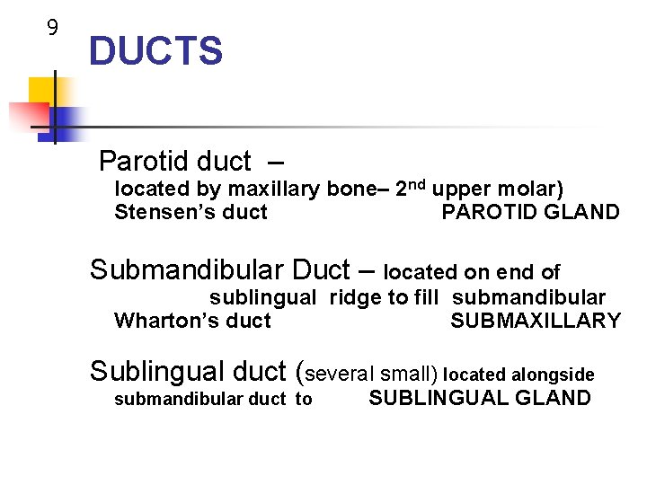 9 DUCTS Parotid duct – located by maxillary bone– 2 nd upper molar) Stensen’s