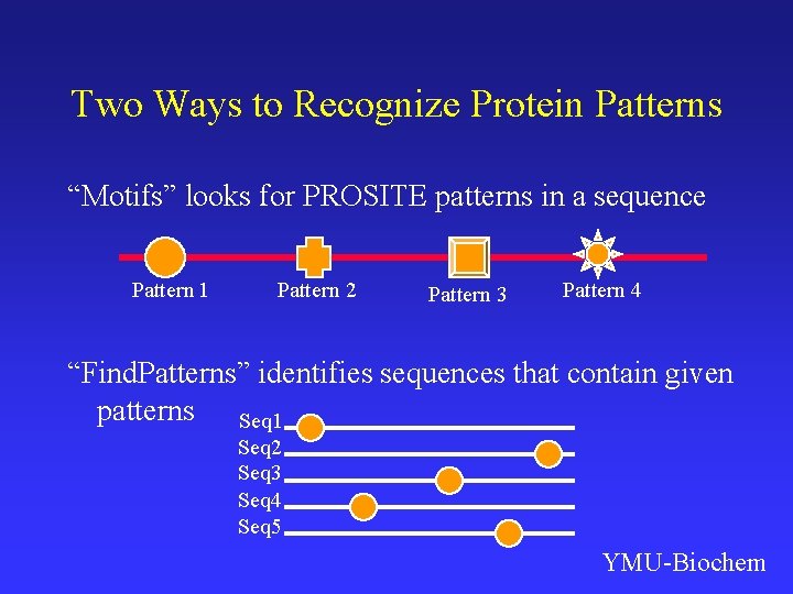 Properties of TFIIIA Protein ProblemOriented Learning II YMUBiochem