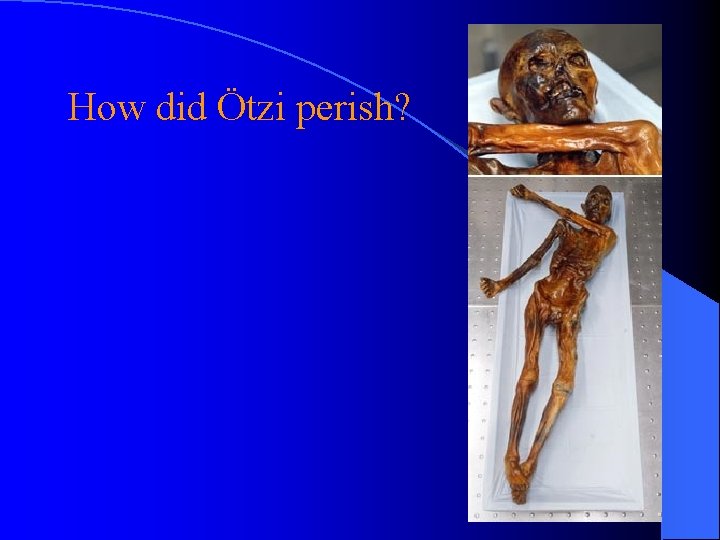 How did Ötzi perish? How did Ötzi perish?