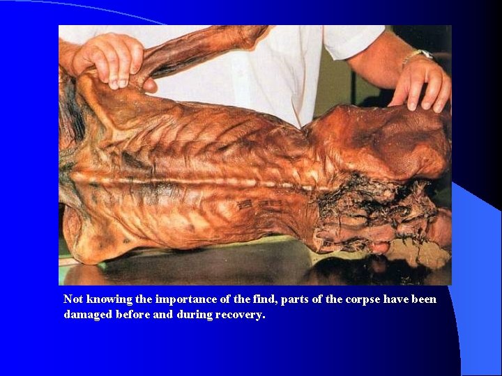 Not knowing the importance of the find, parts of the corpse have been damaged Not knowing the importance of the find, parts of the corpse have been damaged