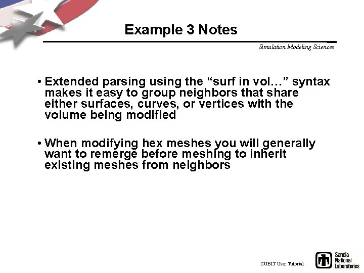 Example 3 Notes Simulation Modeling Sciences • Extended parsing using the “surf in vol…”