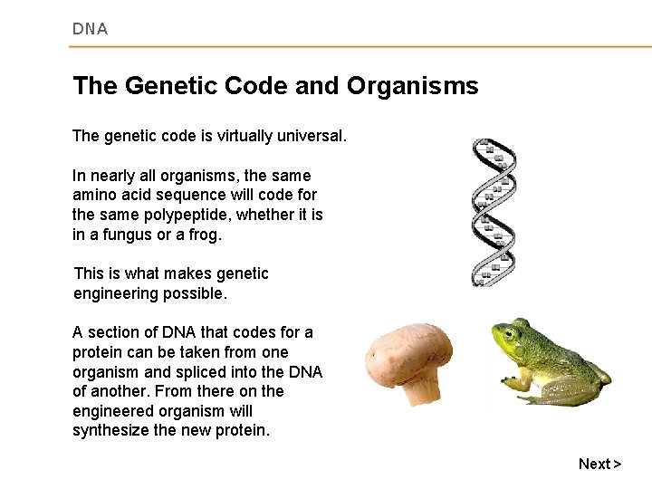 DNA The Genetic Code and Organisms The genetic code is virtually universal. In nearly