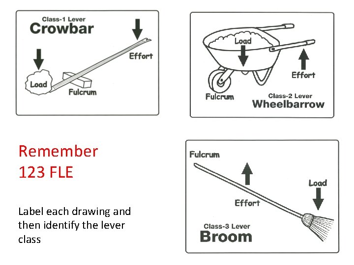 Remember 123 FLE Label each drawing and then identify the lever class 