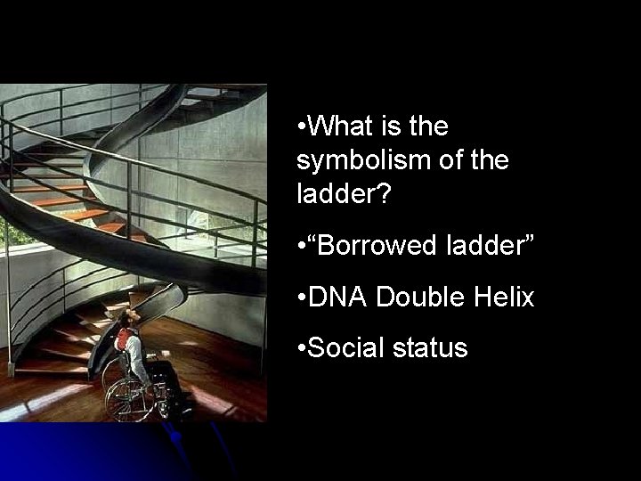  • What is the symbolism of the ladder? • “Borrowed ladder” • DNA