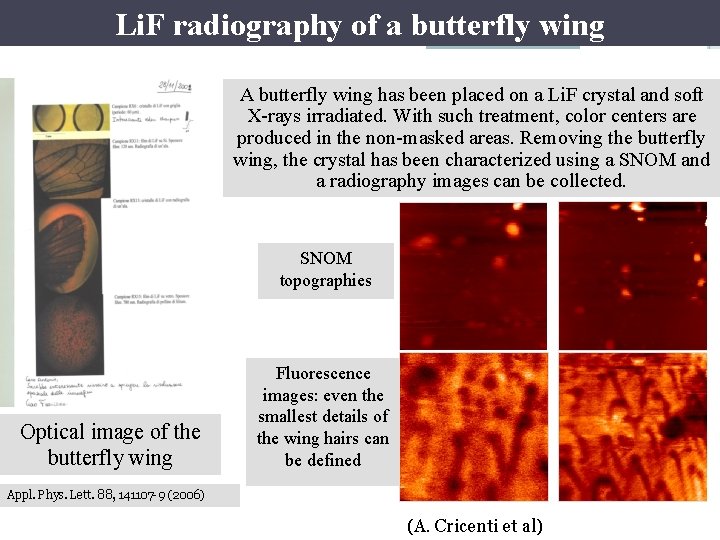 Li. F radiography of a butterfly wing A butterfly wing has been placed on