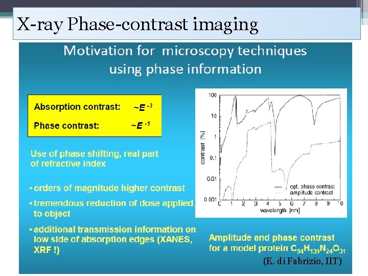 X-ray Phase-contrast imaging (E. di Fabrizio, IIT) 