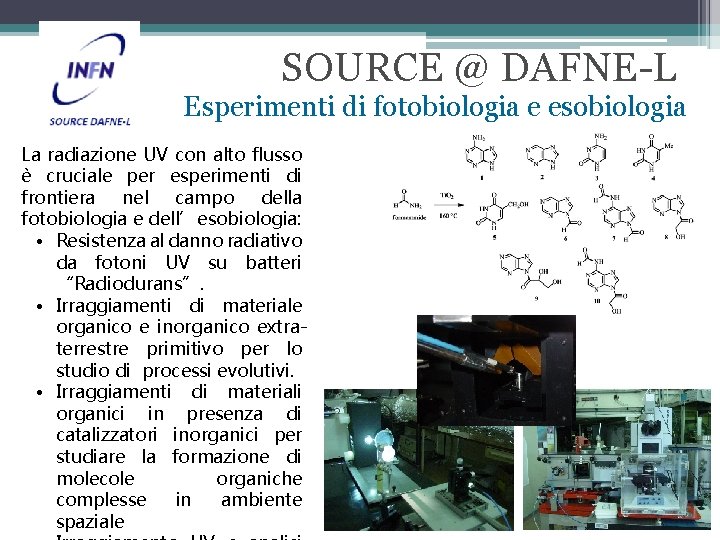 SOURCE @ DAFNE-L Esperimenti di fotobiologia e esobiologia La radiazione UV con alto flusso