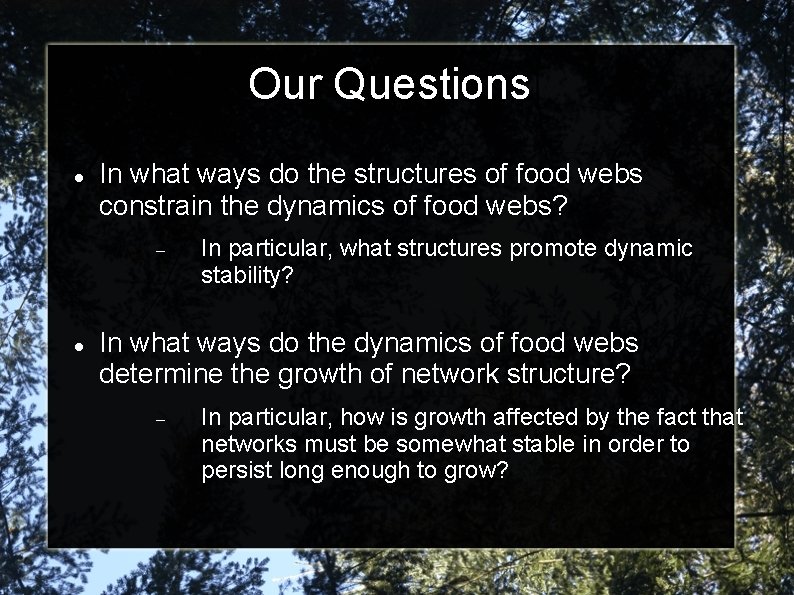 Food Time Structure Interaction of Dynamics And Structure in Food Webs
