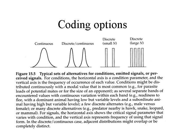 Coding options 