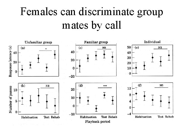 Females can discriminate group mates by call 
