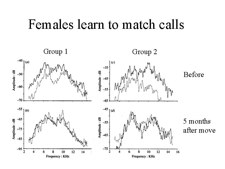 Females learn to match calls Group 1 Group 2 Before 5 months after move
