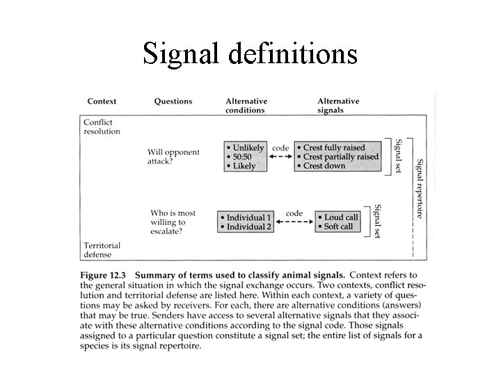 Signal definitions 