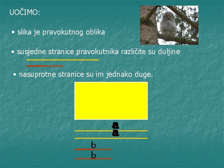 UOČIMO: • slika je pravokutnog oblika • susjedne stranice pravokutnika različite su duljine •