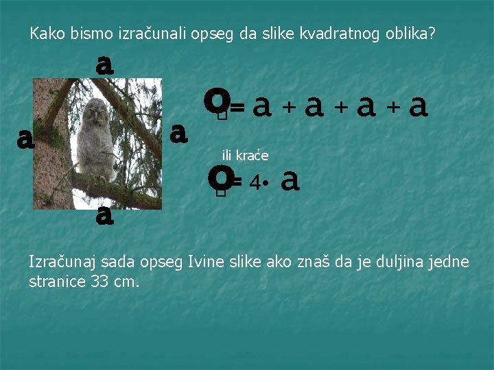 Kako bismo izračunali opseg da slike kvadratnog oblika? a a o= a + a