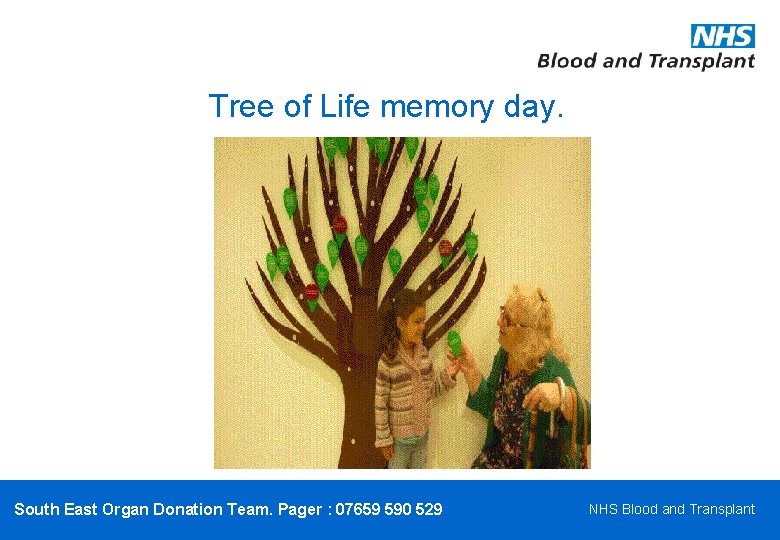 Tree of Life memory day. South East Organ Donation Team. Pager : 07659 590