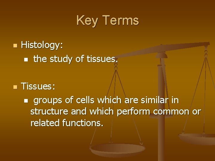 Key Terms n n Histology: n the study of tissues. Tissues: n groups of Key Terms n n Histology: n the study of tissues. Tissues: n groups of