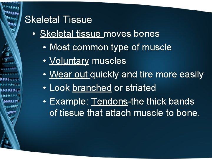 Skeletal Tissue • Skeletal tissue moves bones • Most common type of muscle • Skeletal Tissue • Skeletal tissue moves bones • Most common type of muscle •