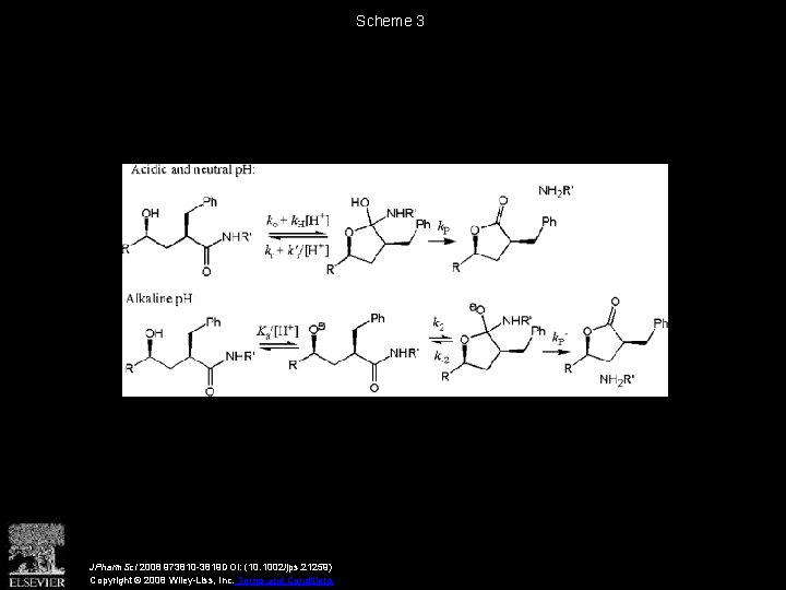 Scheme 3 JPharm. Sci 2008 973810 -3819 DOI: (10. 1002/jps. 21259) Copyright © 2008