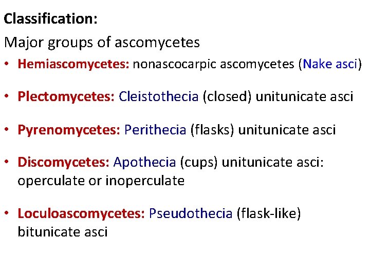 Classification: Major groups of ascomycetes • Hemiascomycetes: nonascocarpic ascomycetes (Nake asci) • Plectomycetes: Cleistothecia