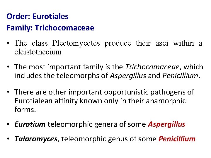 Order: Eurotiales Family: Trichocomaceae • The class Plectomycetes produce their asci within a cleistothecium.