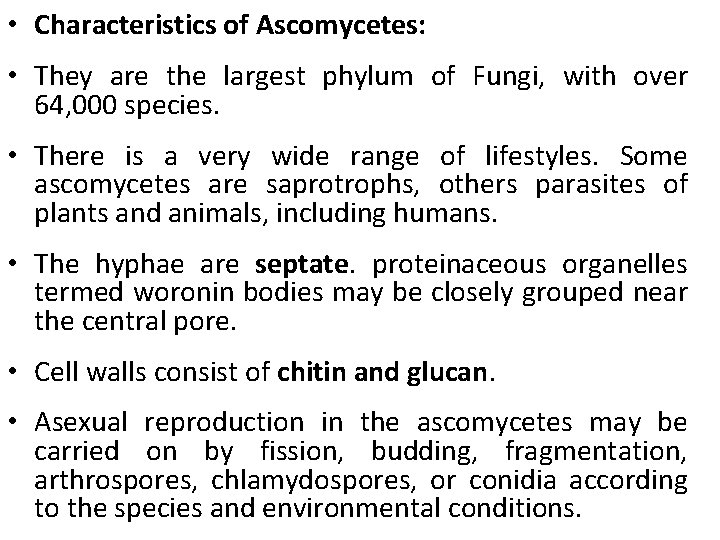  • Characteristics of Ascomycetes: • They are the largest phylum of Fungi, with