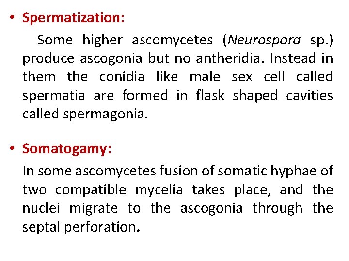 • Spermatization: Some higher ascomycetes (Neurospora sp. ) produce ascogonia but no antheridia.
