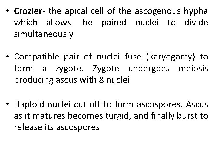  • Crozier- the apical cell of the ascogenous hypha which allows the paired