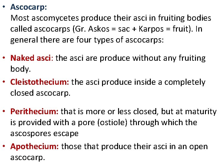  • Ascocarp: Most ascomycetes produce their asci in fruiting bodies called ascocarps (Gr.