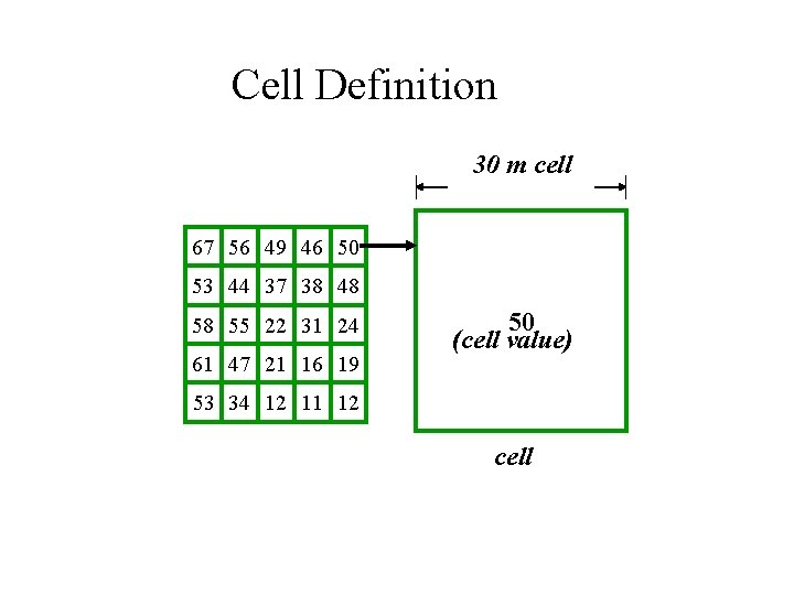 Cell Definition 30 m cell 67 56 49 46 50 53 44 37 38