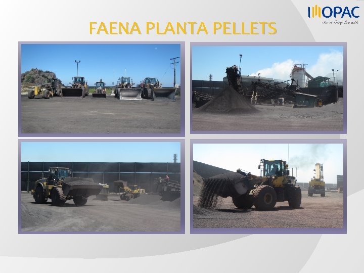 FAENA PLANTA PELLETS 