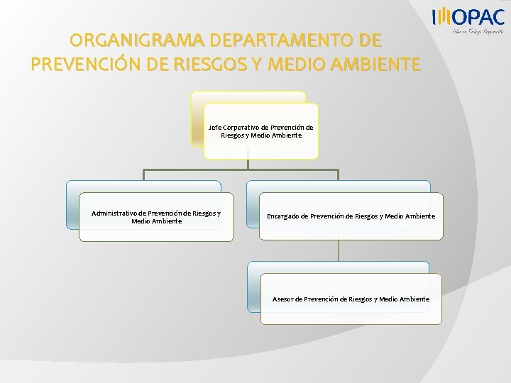 ORGANIGRAMA DEPARTAMENTO DE PREVENCIÓN DE RIESGOS Y MEDIO AMBIENTE Jefe Corporativo de Prevención de