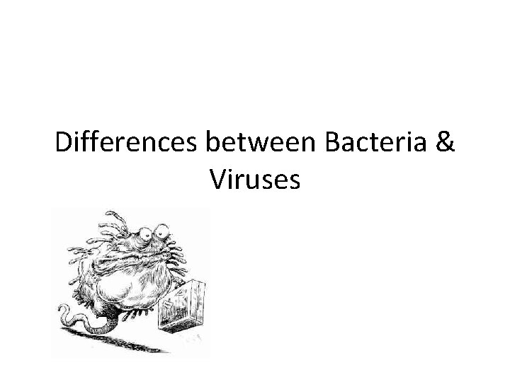 Differences between Bacteria & Viruses 