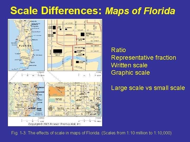 Scale Differences: Maps of Florida Ratio Representative fraction Written scale Graphic scale Large scale