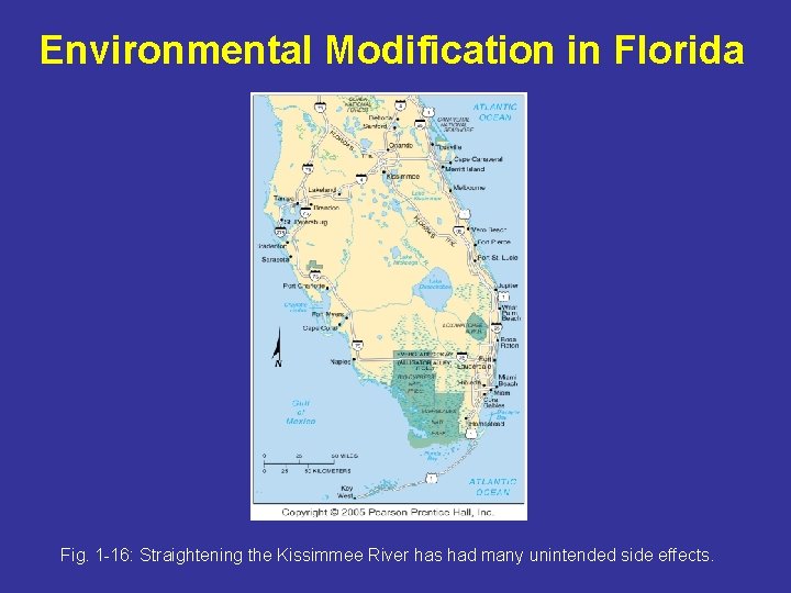 Environmental Modification in Florida Fig. 1 -16: Straightening the Kissimmee River has had many