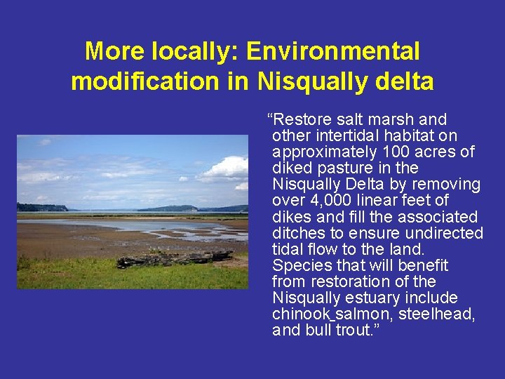 More locally: Environmental modification in Nisqually delta “Restore salt marsh and other intertidal habitat