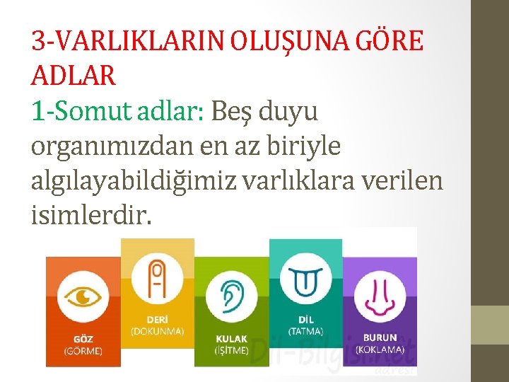 3 -VARLIKLARIN OLUŞUNA GÖRE ADLAR 1 -Somut adlar: Beş duyu organımızdan en az biriyle