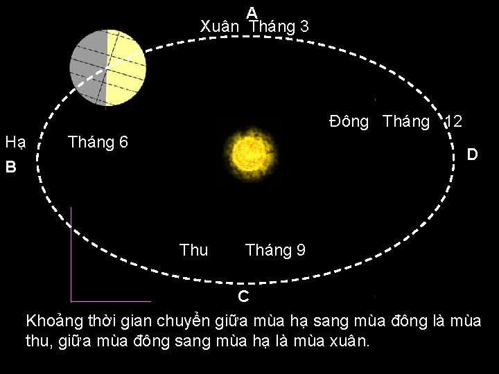 A Xuân Tháng 3 Đông Tháng 12 Hạ B Tháng 6 D Thu Tháng