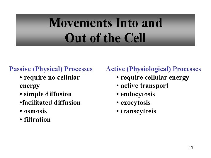 Movements Into and Out of the Cell Passive (Physical) Processes • require no cellular