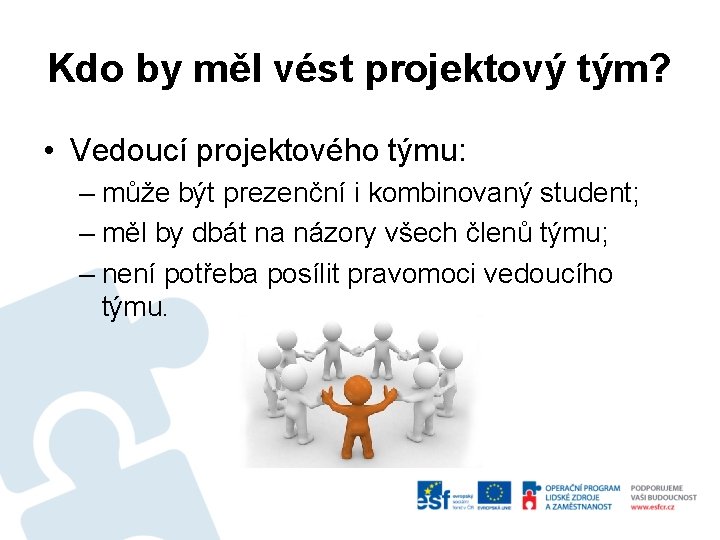 Kdo by měl vést projektový tým? • Vedoucí projektového týmu: – může být prezenční