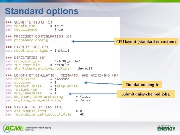 Standard options CPU layout (standard or custom) Simulation length Submit daisy-chained jobs. 