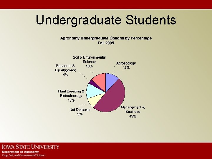 Undergraduate Students 