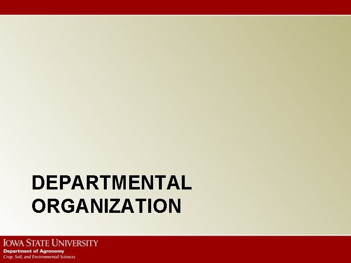 DEPARTMENTAL ORGANIZATION 