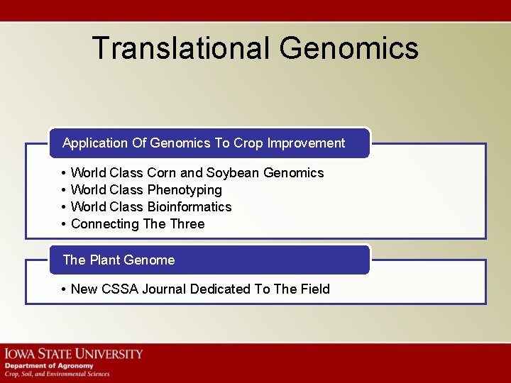 Translational Genomics Application Of Genomics To Crop Improvement • • World Class Corn and