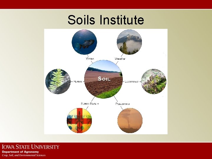 Soils Institute 