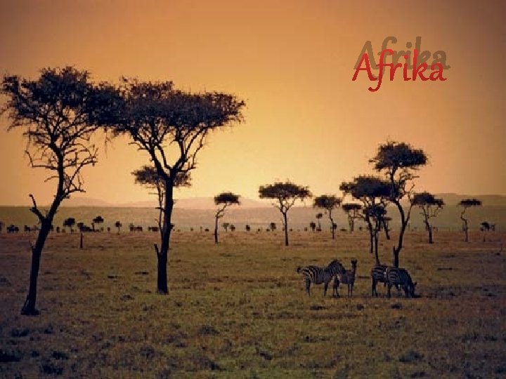 Afrika 