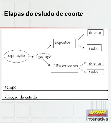 Etapas do estudo de coorte 